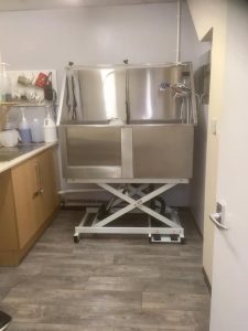 VIP Dog Grooming Bath1