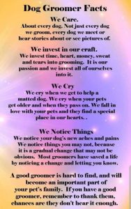 VIP Dog Grooming Facts1