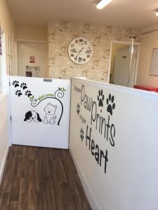 VIP Dog Grooming Entrance1