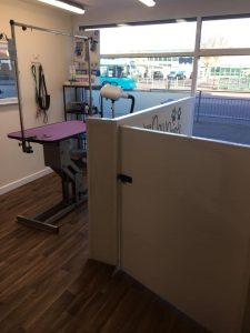 VIP Dog Grooming Studio1